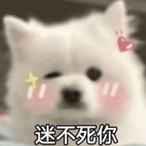 迷不死你：不太正经的表情包合集