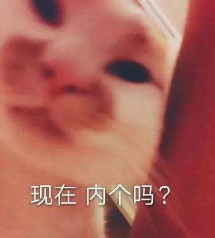 现在内个吗？