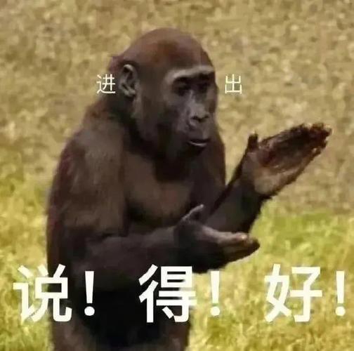进 说！得！好！