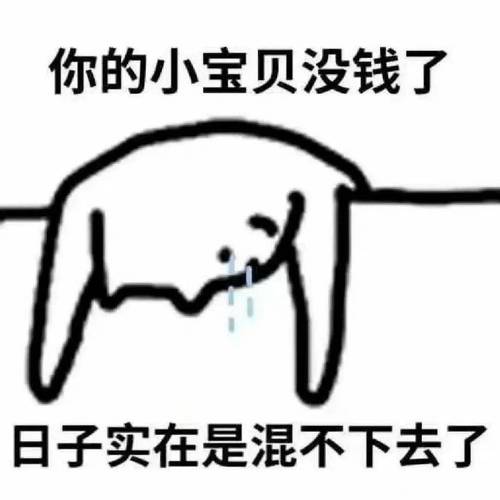 你的小宝贝没钱了 日子实在是混不下去了