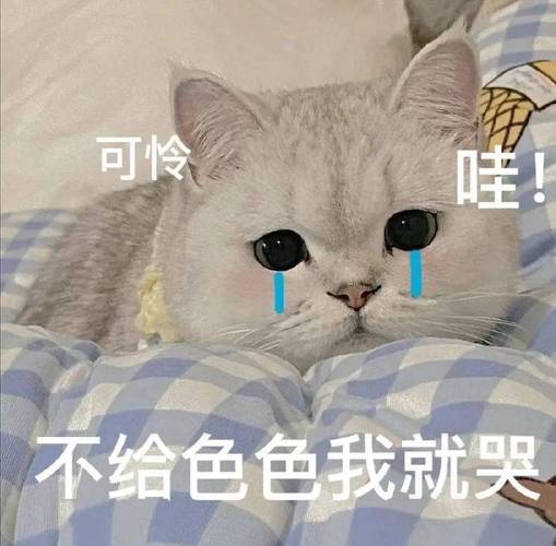 可怜 不给色色我就哭