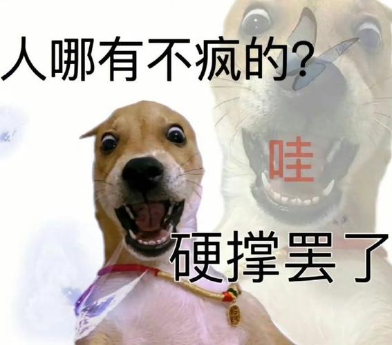 人哪有不疯的？ 哇 硬撑罢了