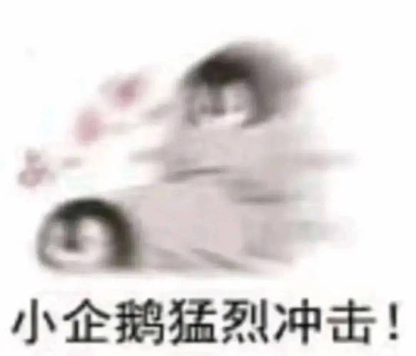 小企鹅猛烈冲击！