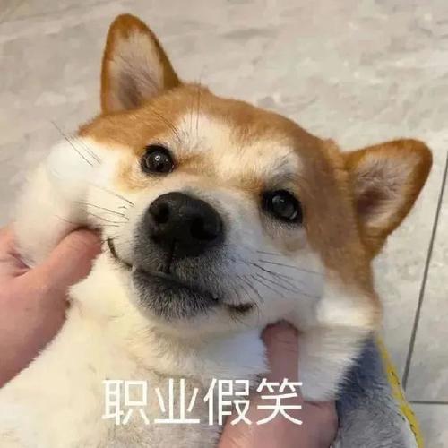 搞笑表情包合集-你的职业假笑来啦