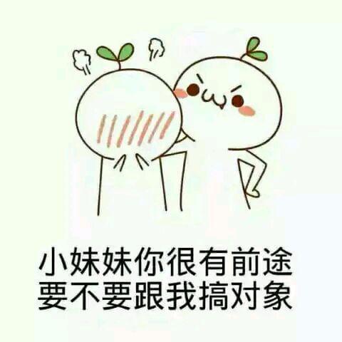 小妹妹你很有前途 要不要跟我搞对象