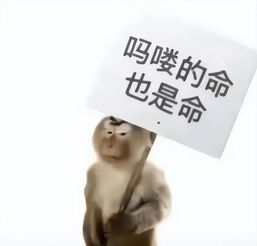 吗喽的命 也是命