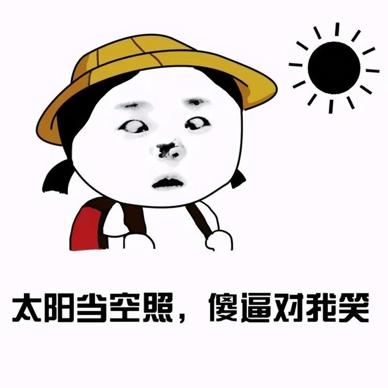 太阳当空照， 傻逼对我笑