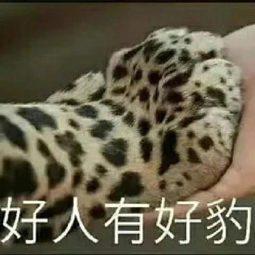 好人有好豹——实用斗图表情包