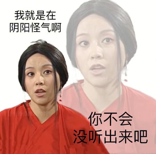 我就是在 阴阳怪气啊 你不会 没听出来吧