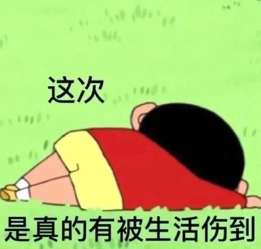 这次 是真的有被生活伤到