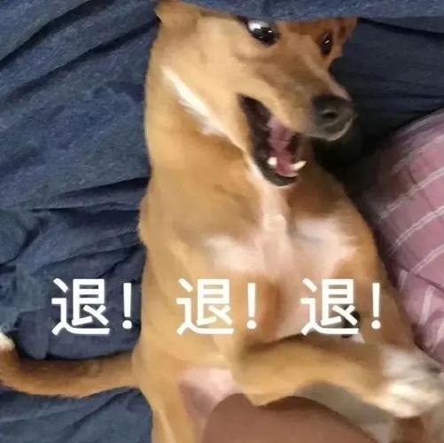 退！退！退！搞笑斗图表情包最新搞笑斗图表情包