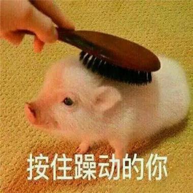 按住躁动的你