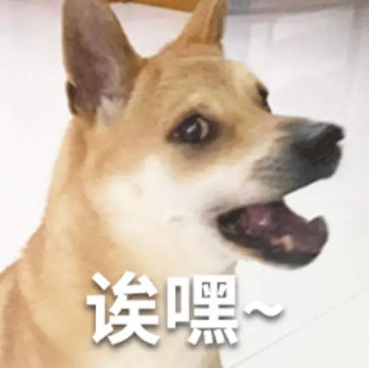 埃嘿~