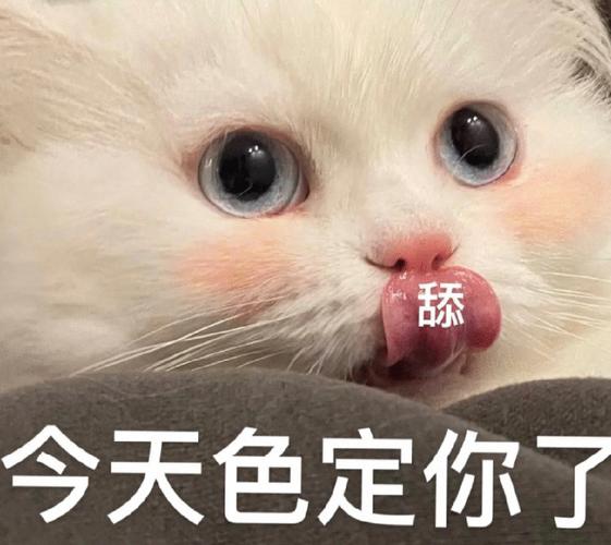 舔 今天色定你了