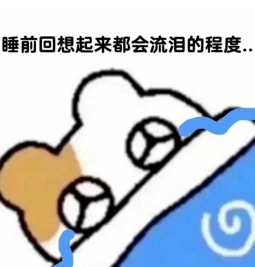 睡前回想起来都会流泪的程度.