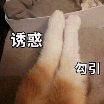 诱惑 勾引