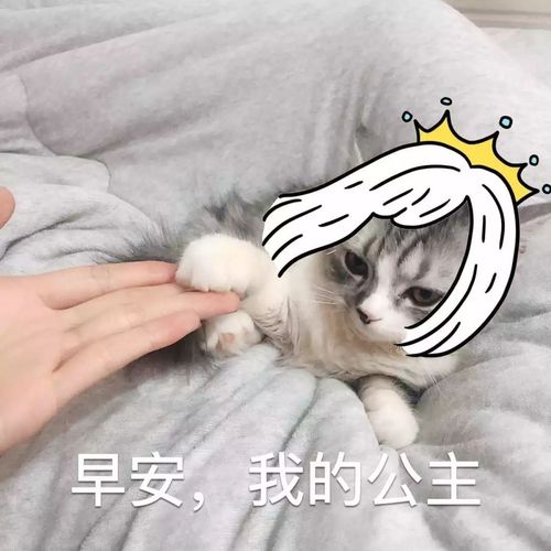 早安，我的公主