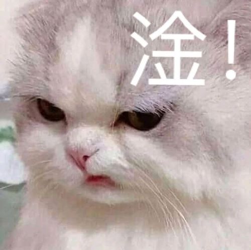 涂！