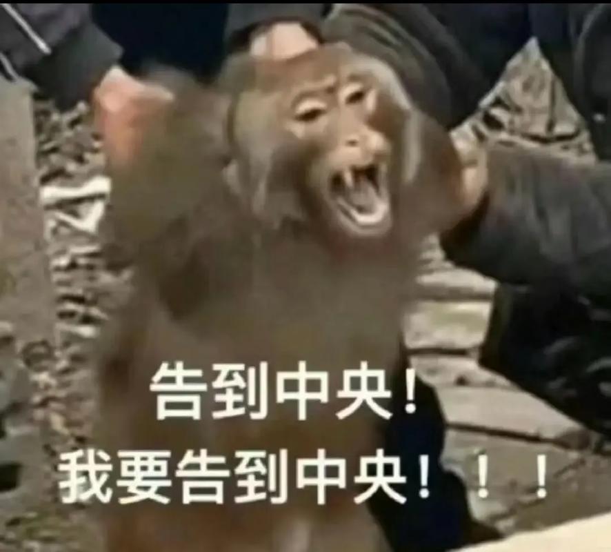 告到中央！ 我要告到中央！