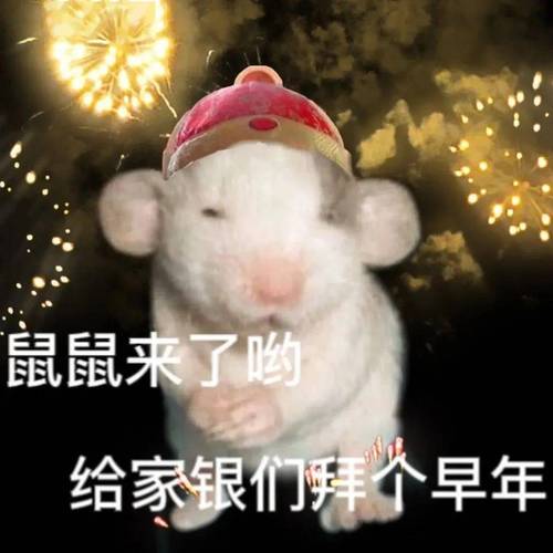 鼠鼠来了哟 给家银们拜个早年