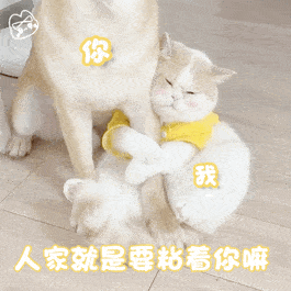 你 我 人家就是要粘着你嘛