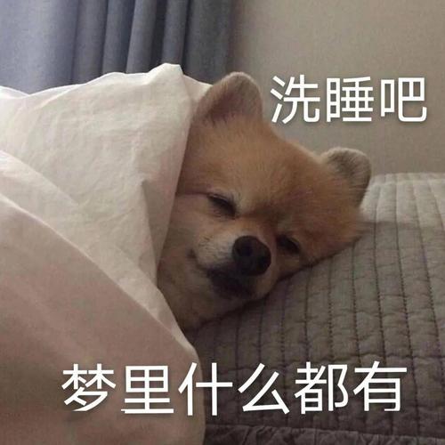 洗睡吧 梦里什么都有