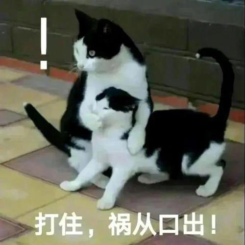 打住，祸从口出！