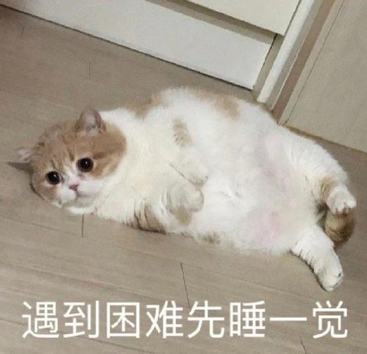 遇到困难先睡一觉