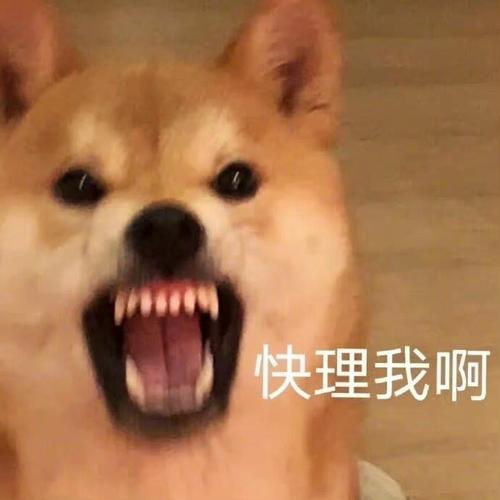 快理我啊