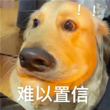 难以置信
