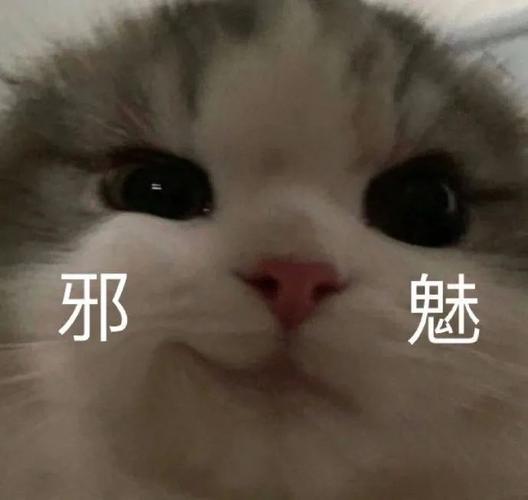 邪 魅