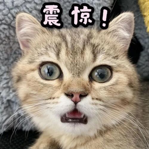 震惊！