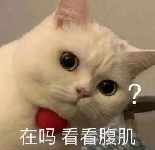 在吗看看腹肌