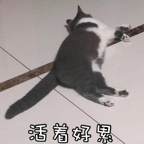 活着好累