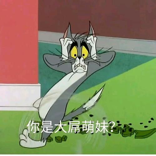 你是大屌萌妹？