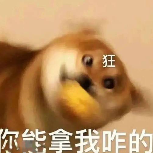 狂 你我拿我咋的