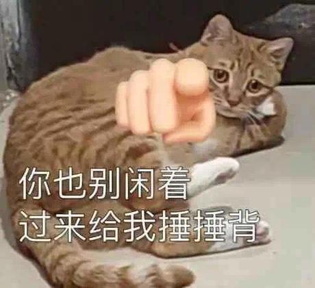 你也别闲着 过来给我捶捶背
