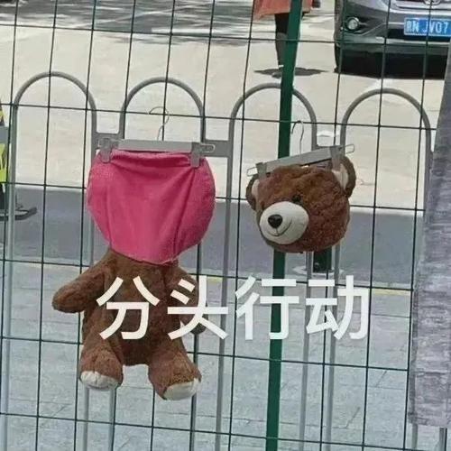 分头行动