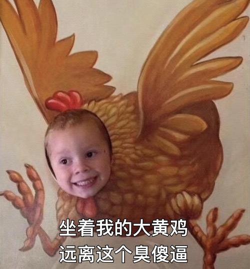 坐着我的大黄鸡 远离这个臭傻逼