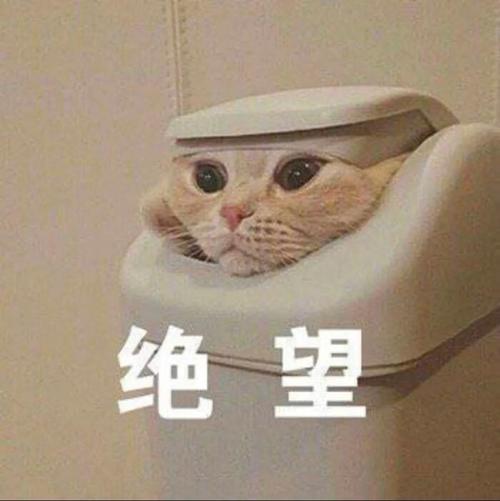 绝望_热门表情包,有内味儿了! 拿图请吱一声~ 更多表情包看我主页!