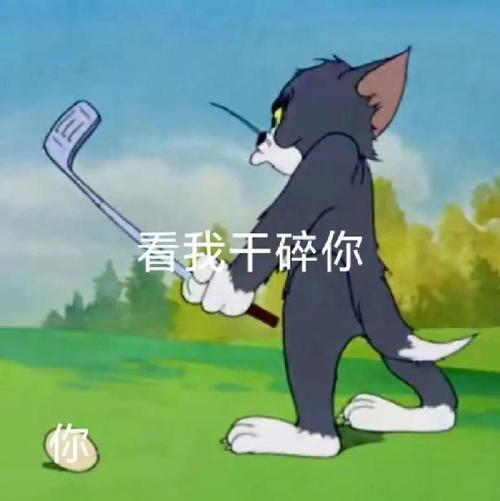看我干碎你