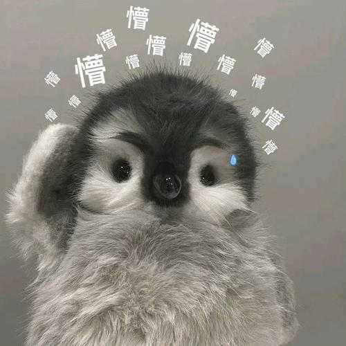 惜 憎 憎 憎 憎 憎 憎 憎 懎 憎 憎 憎 憎 憎 憎