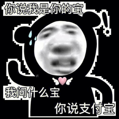 你说我是你的宝 我问什么宝 你说