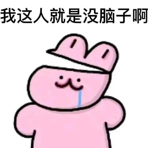 我这人就是没脑子啊