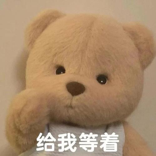 给我等着