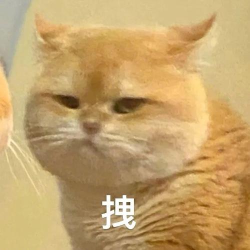 拽