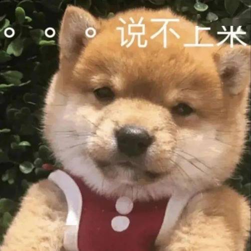 说不上米