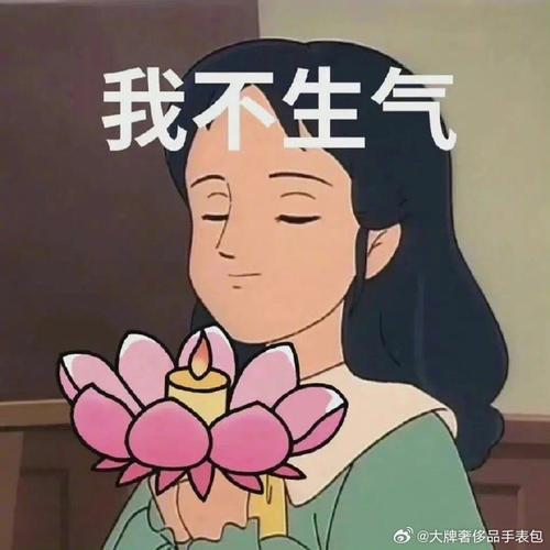 我不生气 @大牌奢侈品手表包