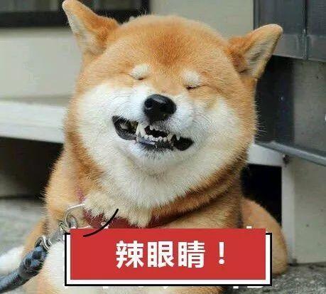 辣眼睛！
