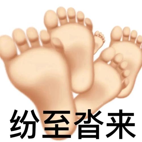 纷至沓来
